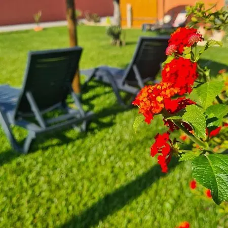 Hollidays Dreams Povoa de Varzim
