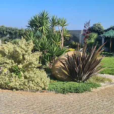 Vakantiehuis Hollidays Dreams