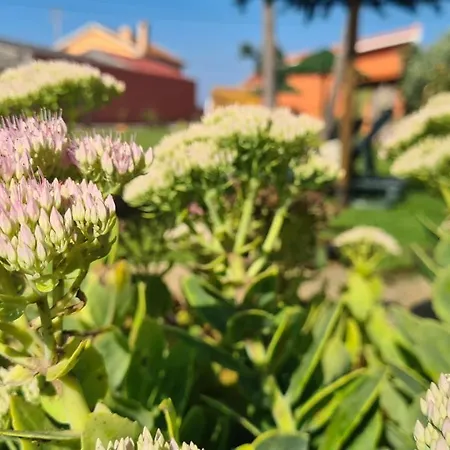 Vakantiehuis Hollidays Dreams Póvoa de Varzim