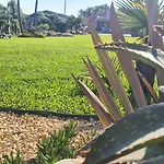 Hollidays Dreams