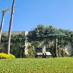 Hollidays Dreams