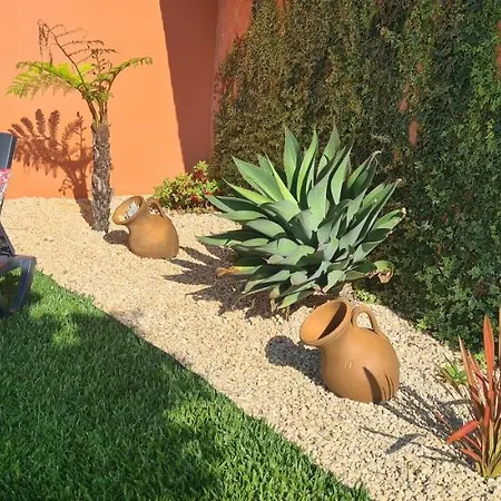 Hollidays Dreams 포보아데바짐