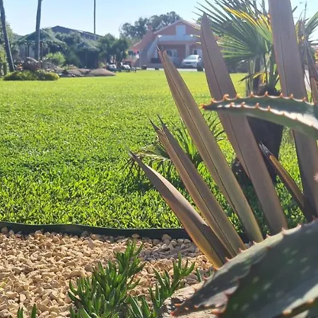 بيت للعطل Hollidays Dreams