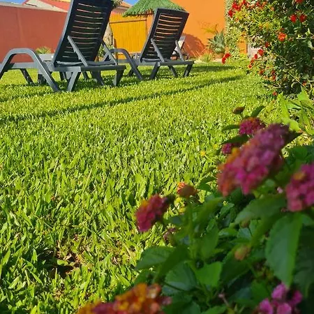 Hollidays Dreams بوفوُ جي فارزيم