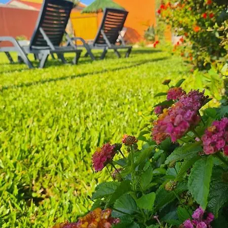 Hollidays Dreams بوفوُ جي فارزيم