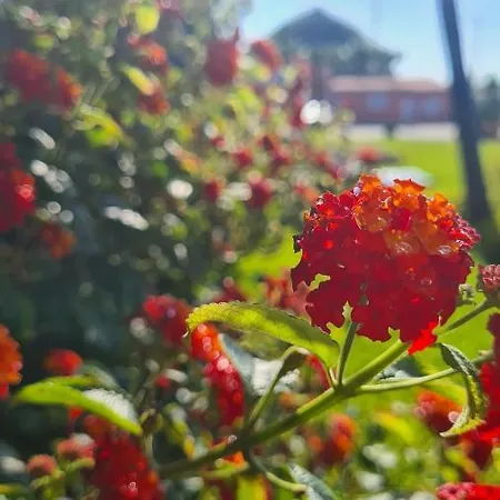 Hollidays Dreams * بوفوُ جي فارزيم