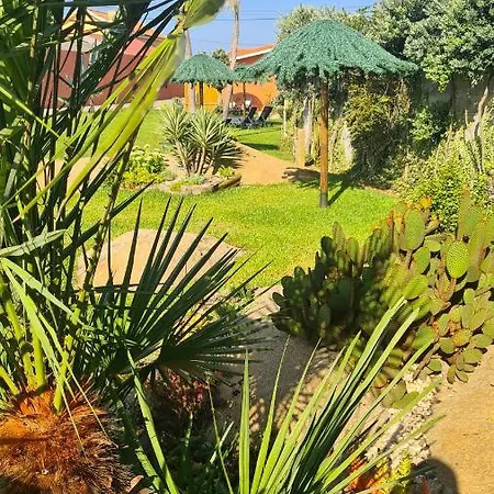 Hollidays Dreams بوفوُ جي فارزيم