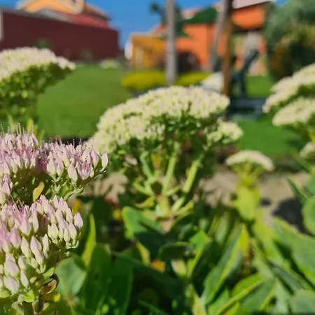 Hollidays Dreams Prázdninový dům *