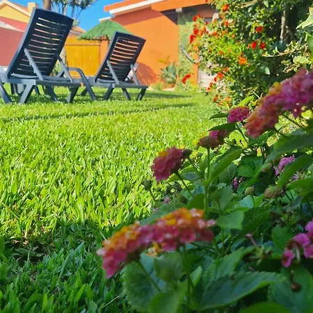 Hollidays Dreams * Póvoa de Varzim