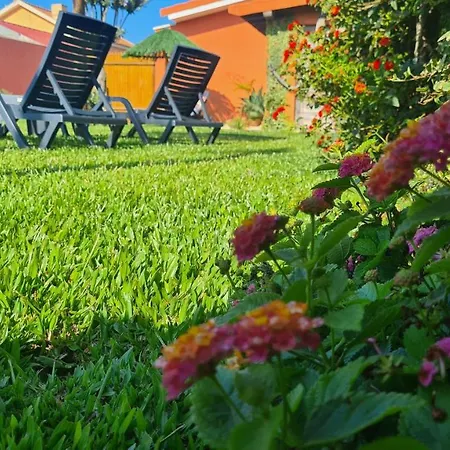 Hollidays Dreams بوفوُ جي فارزيم