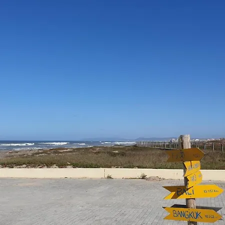Hollidays Dreams