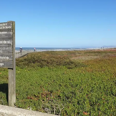 Hollidays Dreams 포보아데바짐