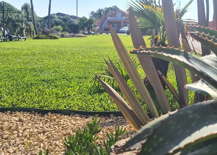 Сasa de vacaciones Hollidays Dreams