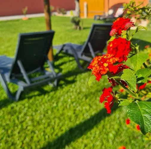 Hollidays Dreams Póvoa de Varzim