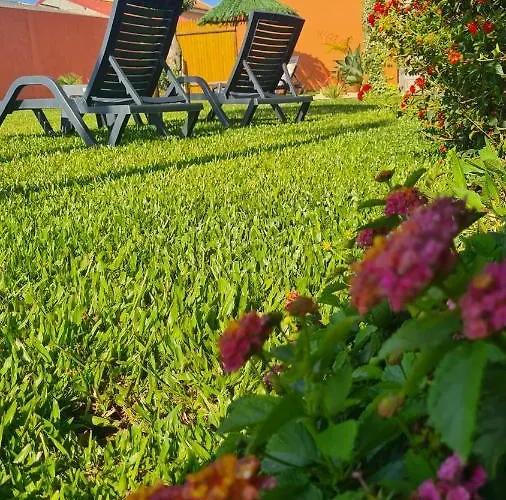 Hollidays Dreams Póvoa de Varzim