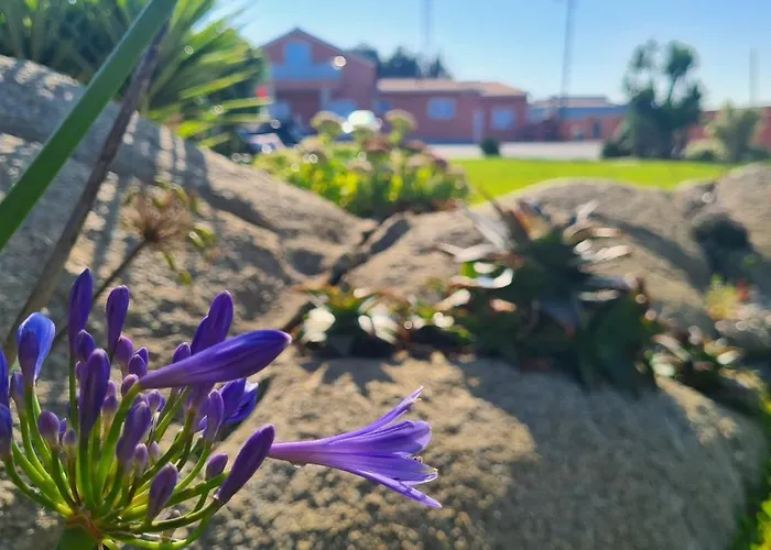 Hollidays Dreams * Póvoa de Varzim