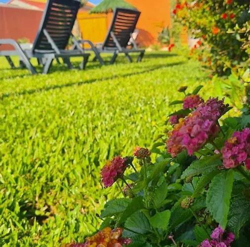 Hollidays Dreams Póvoa de Varzim