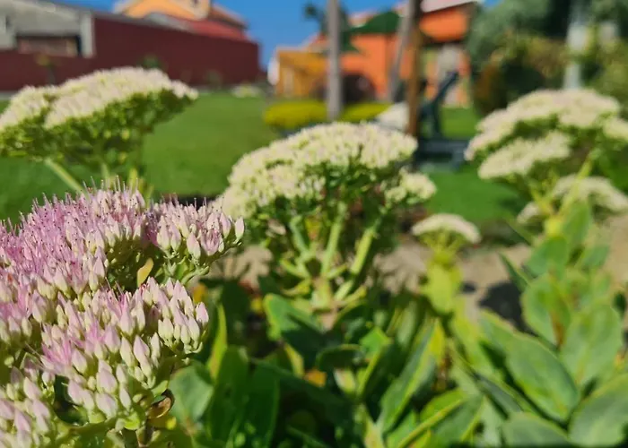 Hollidays Dreams Feriehus *