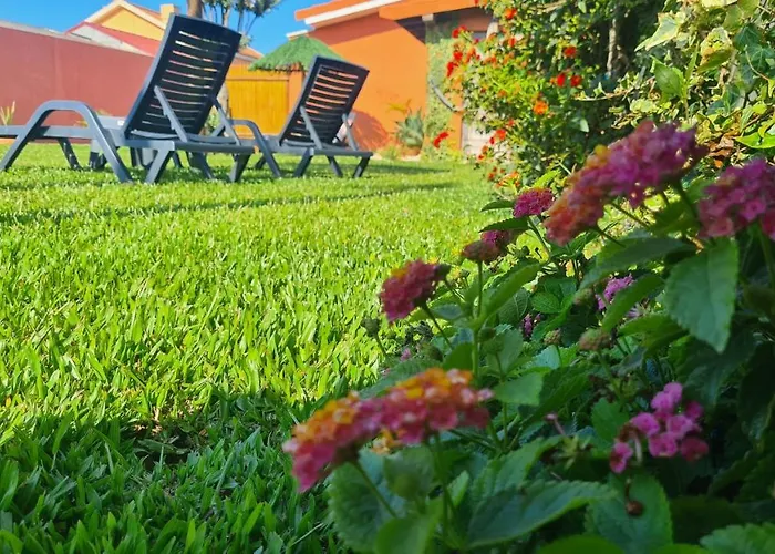 Hollidays Dreams * Póvoa de Varzim