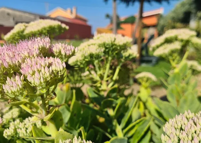 Feriehus Hollidays Dreams Póvoa de Varzim